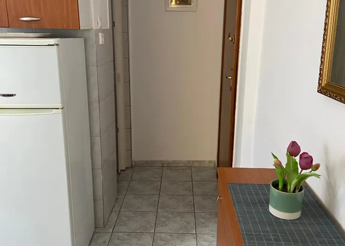 Daire Manuel 1 Nea Kallikrateia