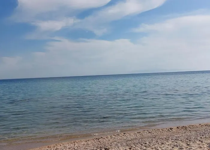 Manuel 1 Appartement