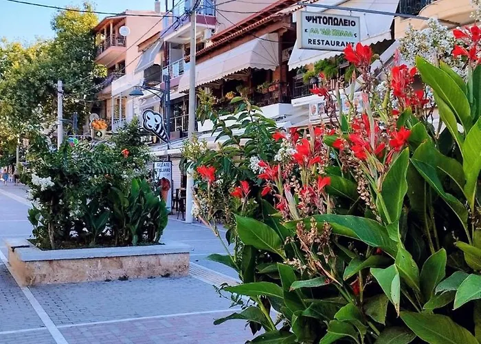 Manuel 1 Appartement