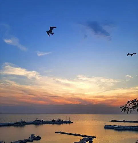 Manuel 1 Appartement